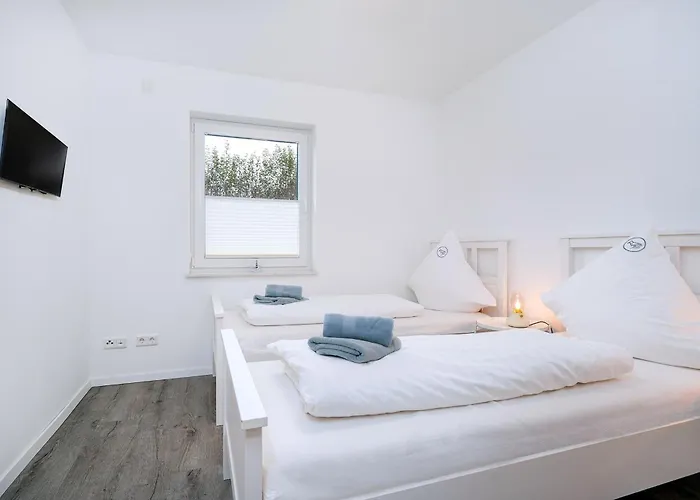 Krabbe In Appartement Dornum